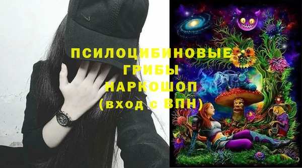 прущие грибы Алексин